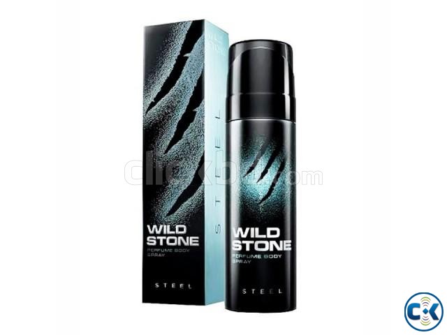 WILD STONE ( STEEL )