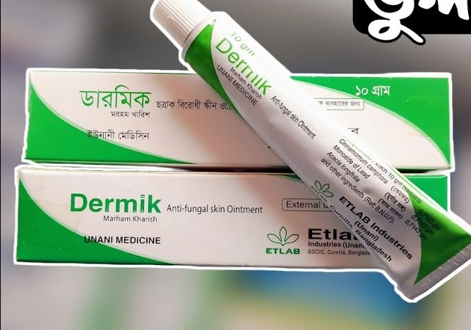 Dermik Ointment 10gm